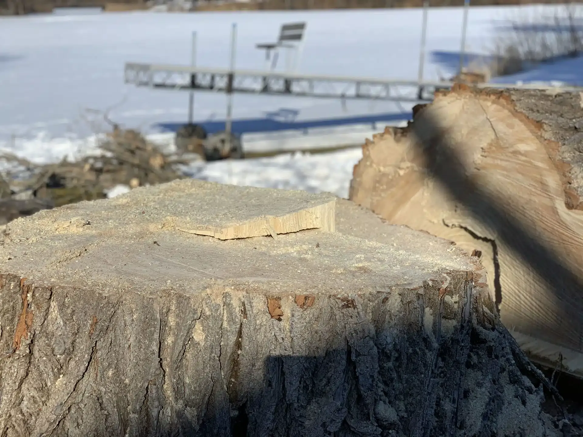 Tree stump in foreground, with a snowy lake and dock visible in the background.