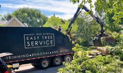 A tree service truck and excavator removing tree branches from a residential area.