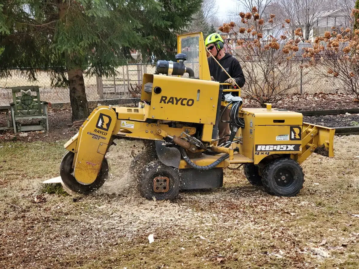 A person operating a yellow Rayco stump grinder on grass, creating wood chips.