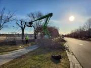 Tree trimming, worker in a lift, cutting branches near a sidewalk and road on a sunny day.