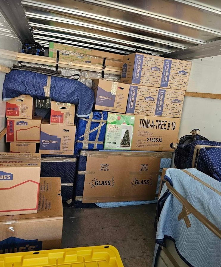The inside of a moving truck filled with boxes and a tree