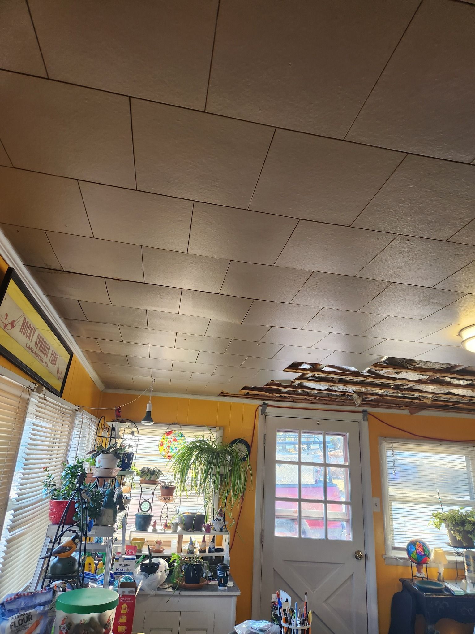 Interior view of a room with a textured ceiling, a doorway, windows, and plants. The walls are yellow.