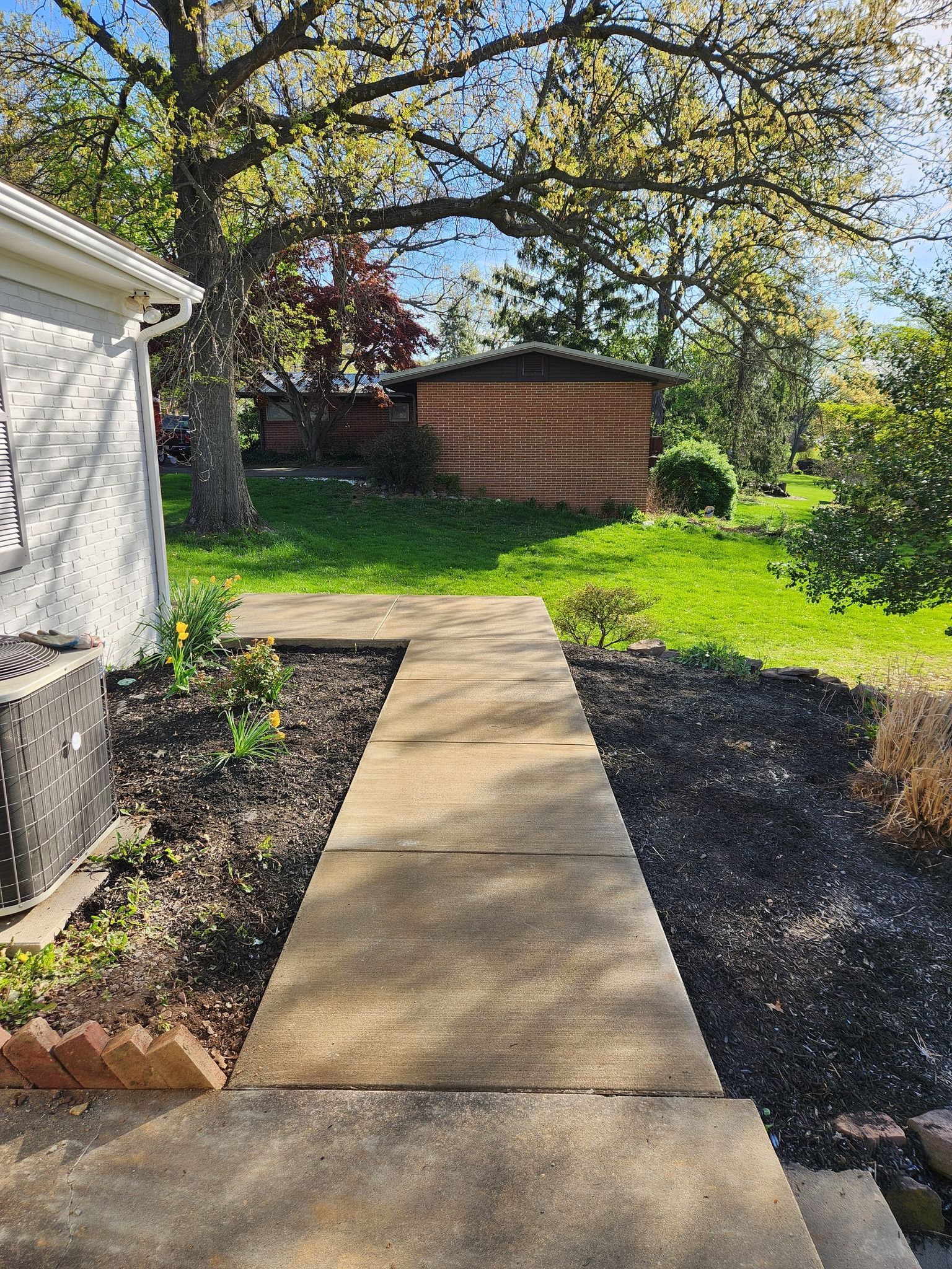 Concrete path through a backyard, leading to a brick shed. Green grass, trees, and mulch border the path.