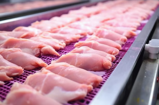 Kip wordt verwerkt op een lopende band in een fabriek.