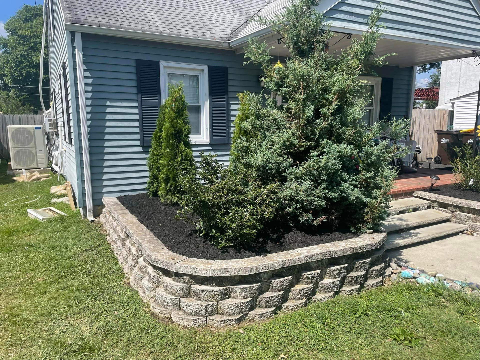 Chamaecyparis Pisifera Plant — Bensalem, PA — Munz's Lawn Service & Landscaping