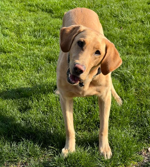 A group of business people are sitting around a table having a meeting.