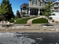 Suburban house with a curved stone walkway, manicured lawn, and driveway beside the street