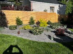 Landscaped backyard with gravel beds, shrubs, green lawn, and a wood privacy fence