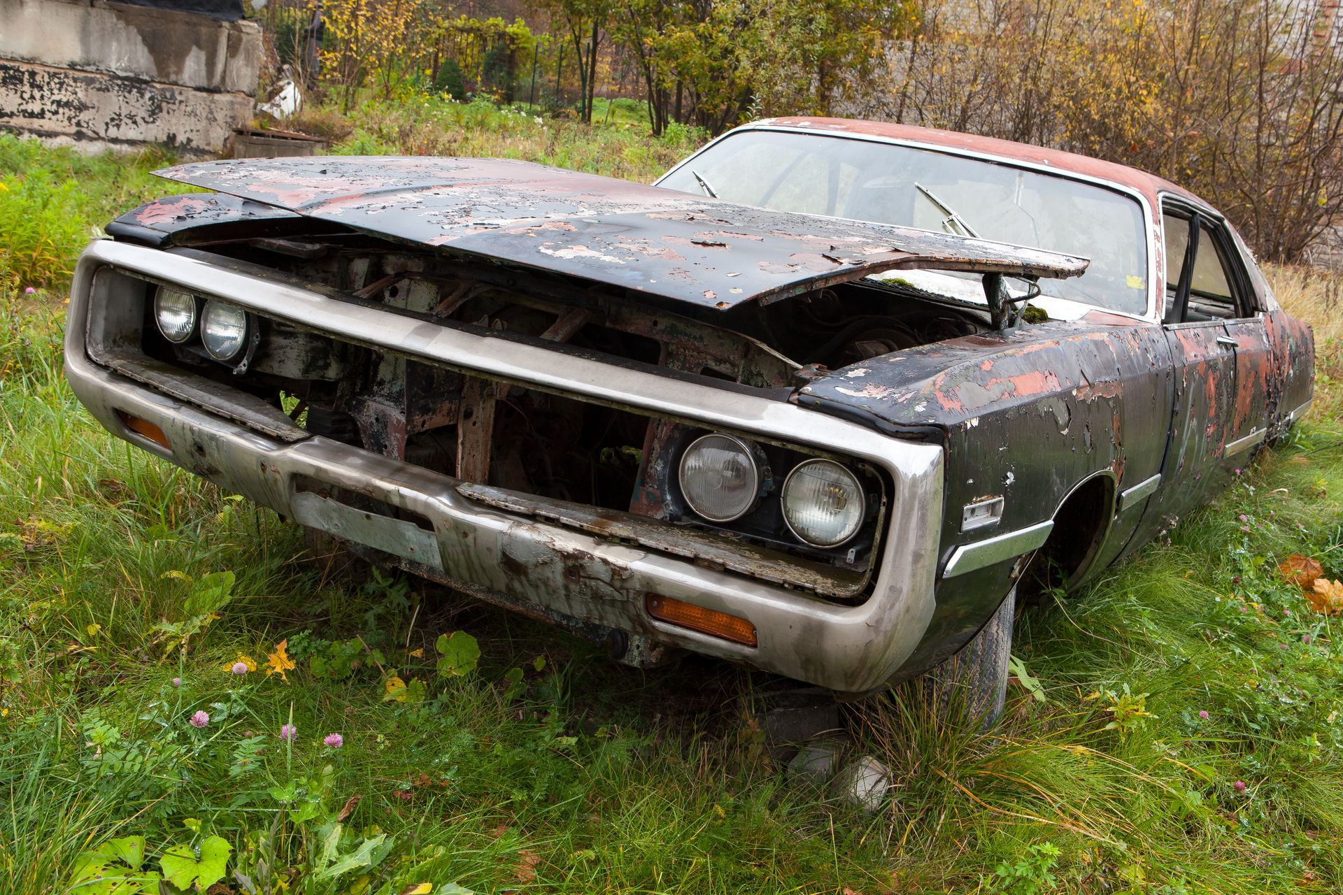 Abandoned rusted car in overgrown autumn field, hood open, fading paint.