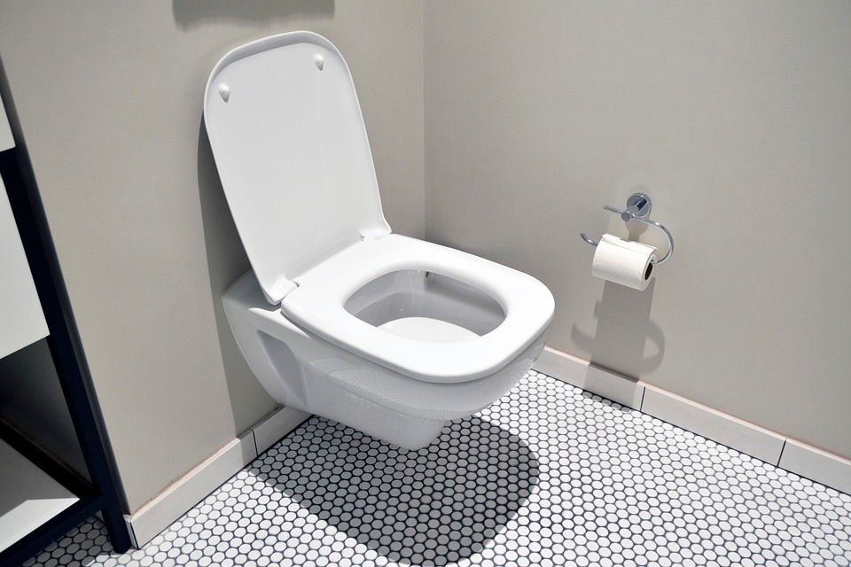 Fix a Leaking Toilet