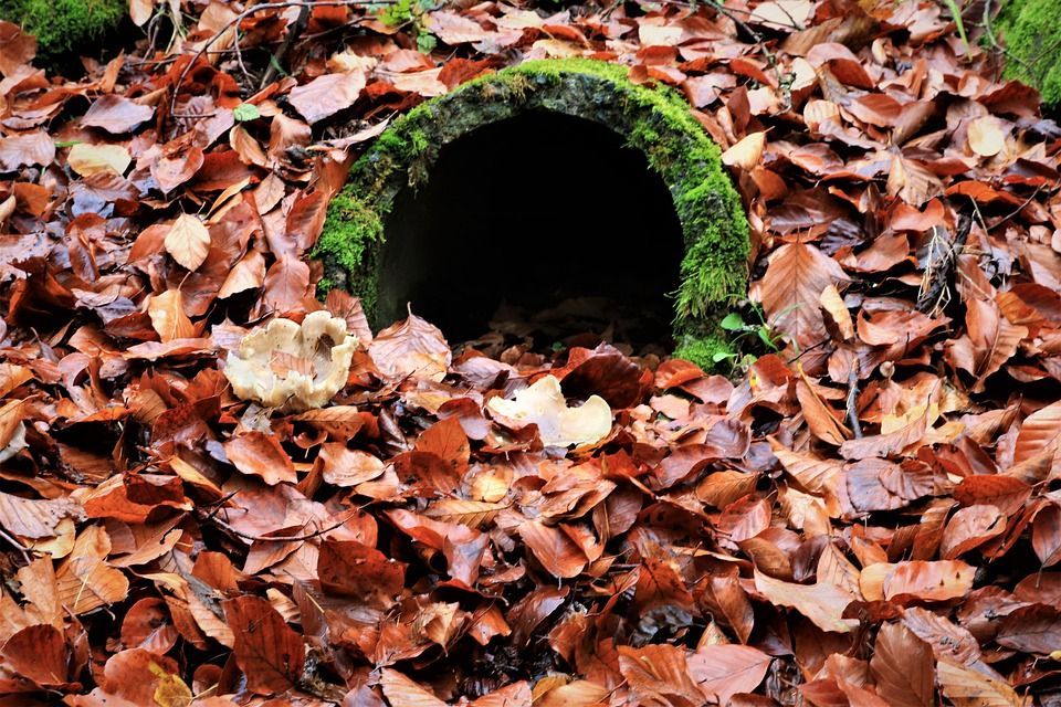 Stormwater Drain Blockage