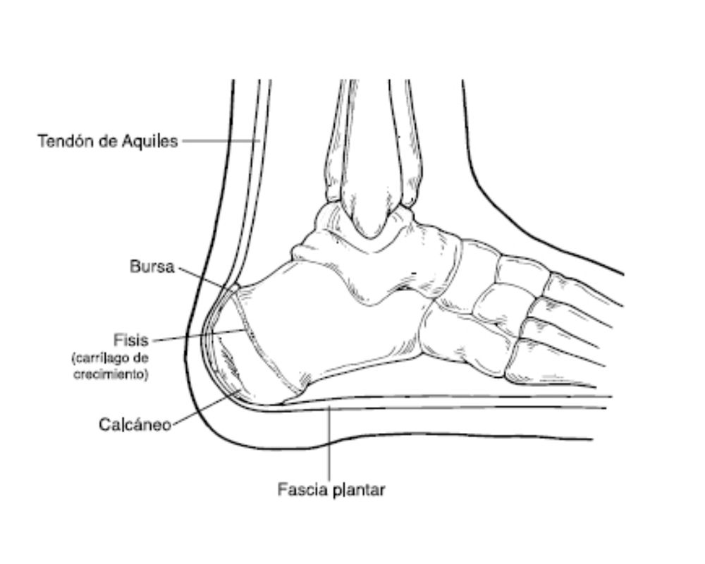 A black and white drawing of a person 's foot and ankle.