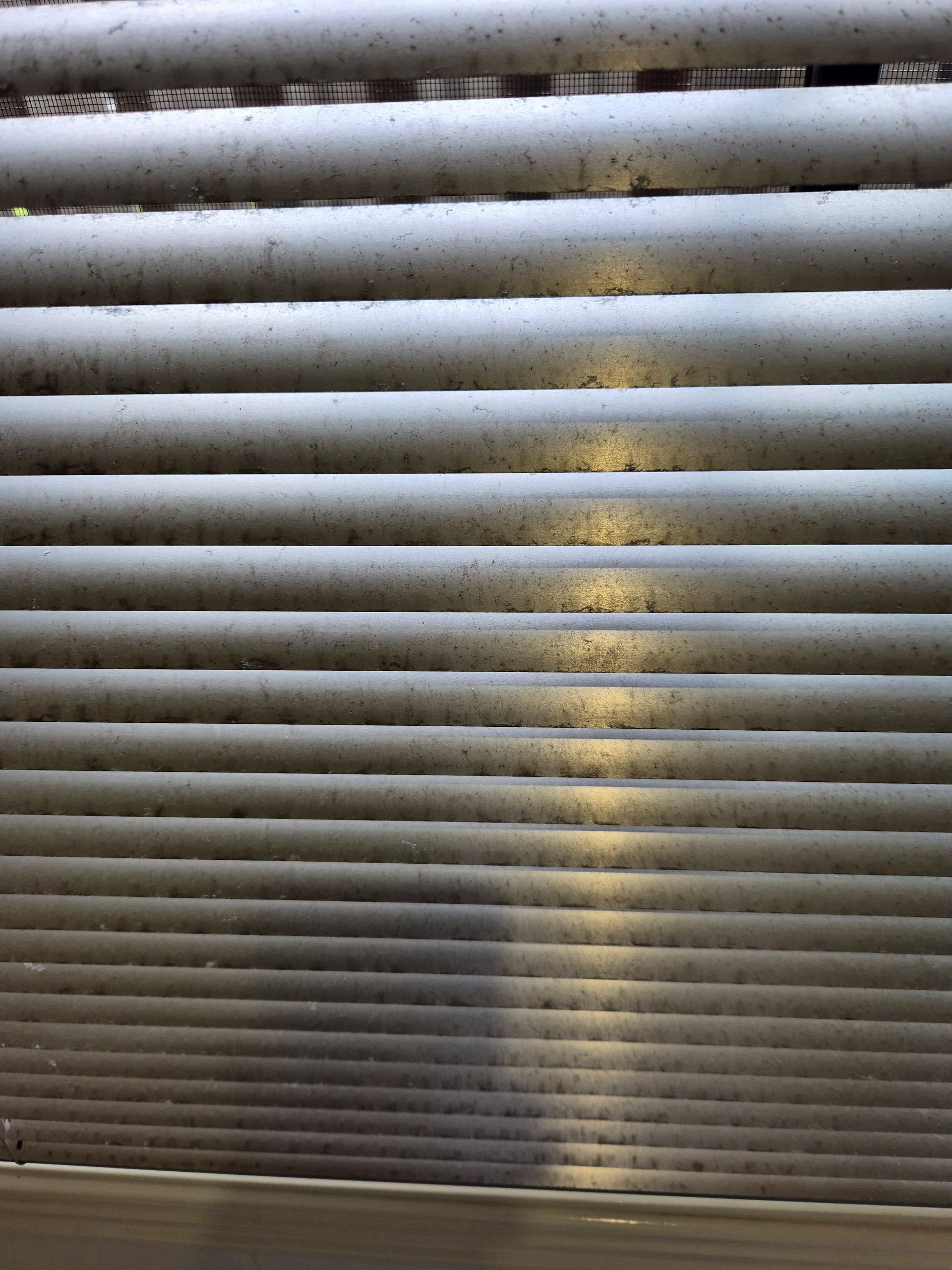 Before: Dirty, Dusty, Horizontal Blinds With Spots and Discoloration — KirraLina Cleaning Services in Banora Point, NSW