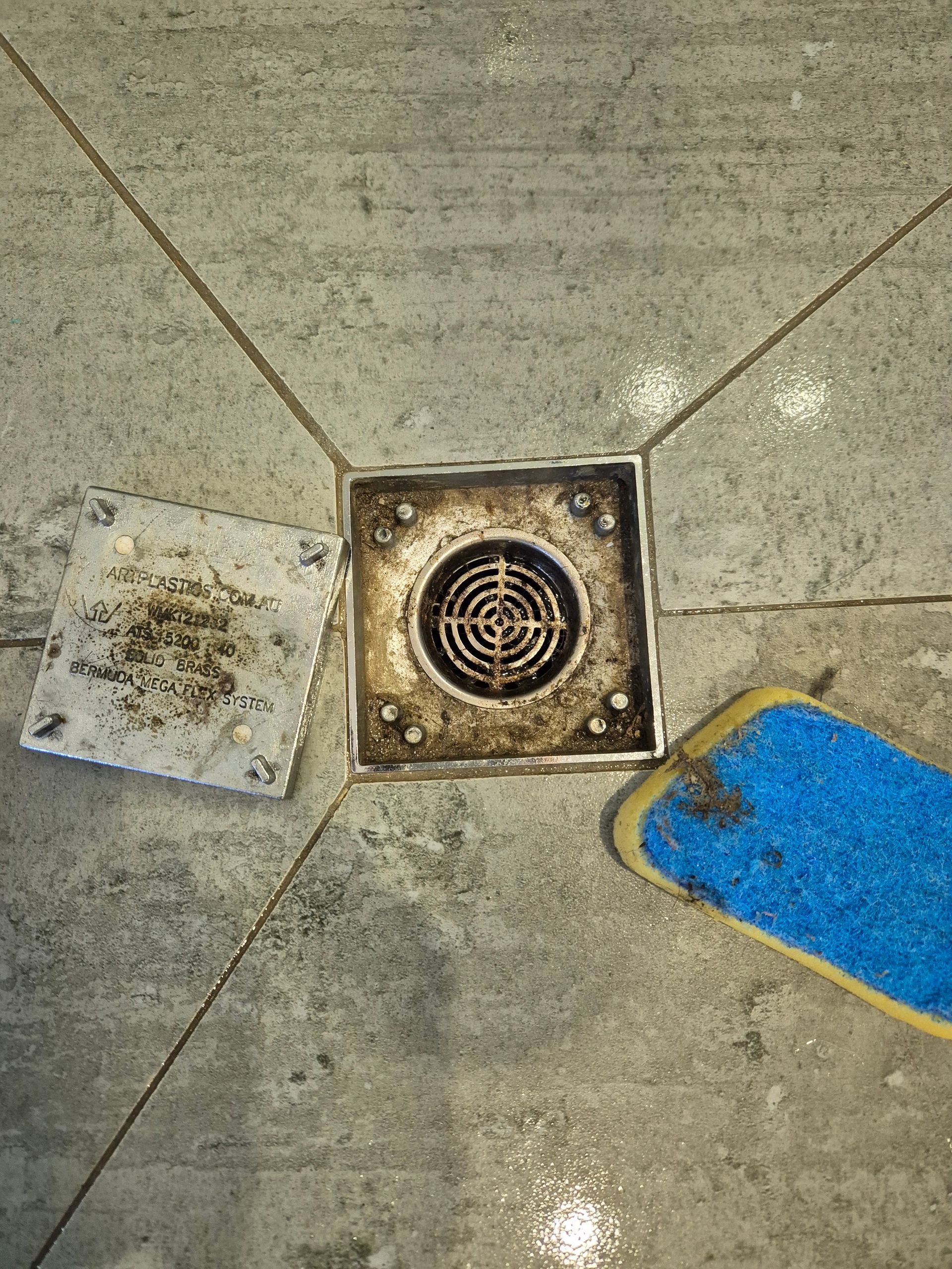 Before: Dirty Shower Drain With Cover and Sponge on Grey Tiled Floor — KirraLina Cleaning Services in Burleigh Heads, QLD