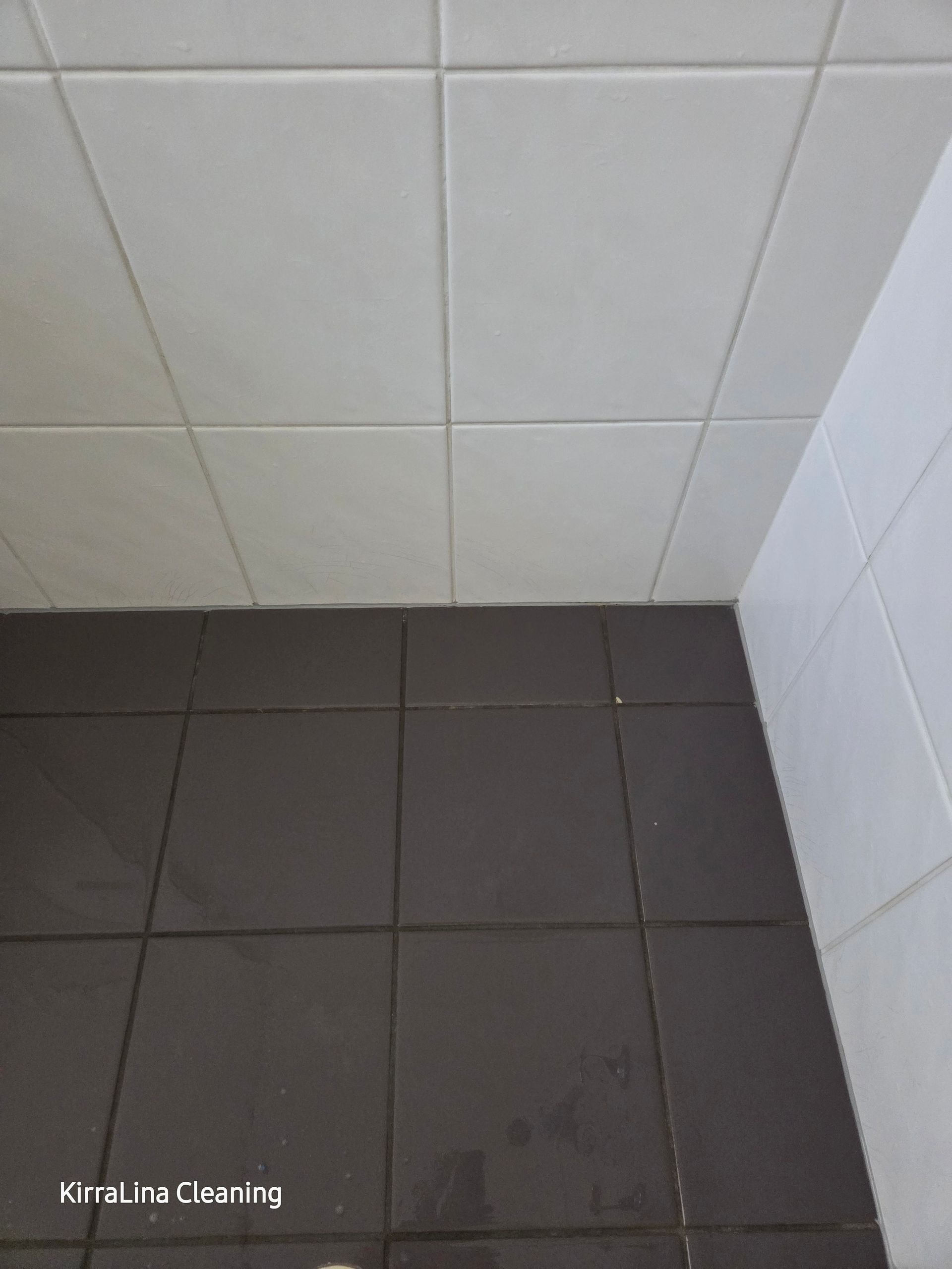After: Dark Tiled Floor Meeting Light Tiled Wall in a Room — KirraLina Cleaning Services in Palm Beach, NSW
