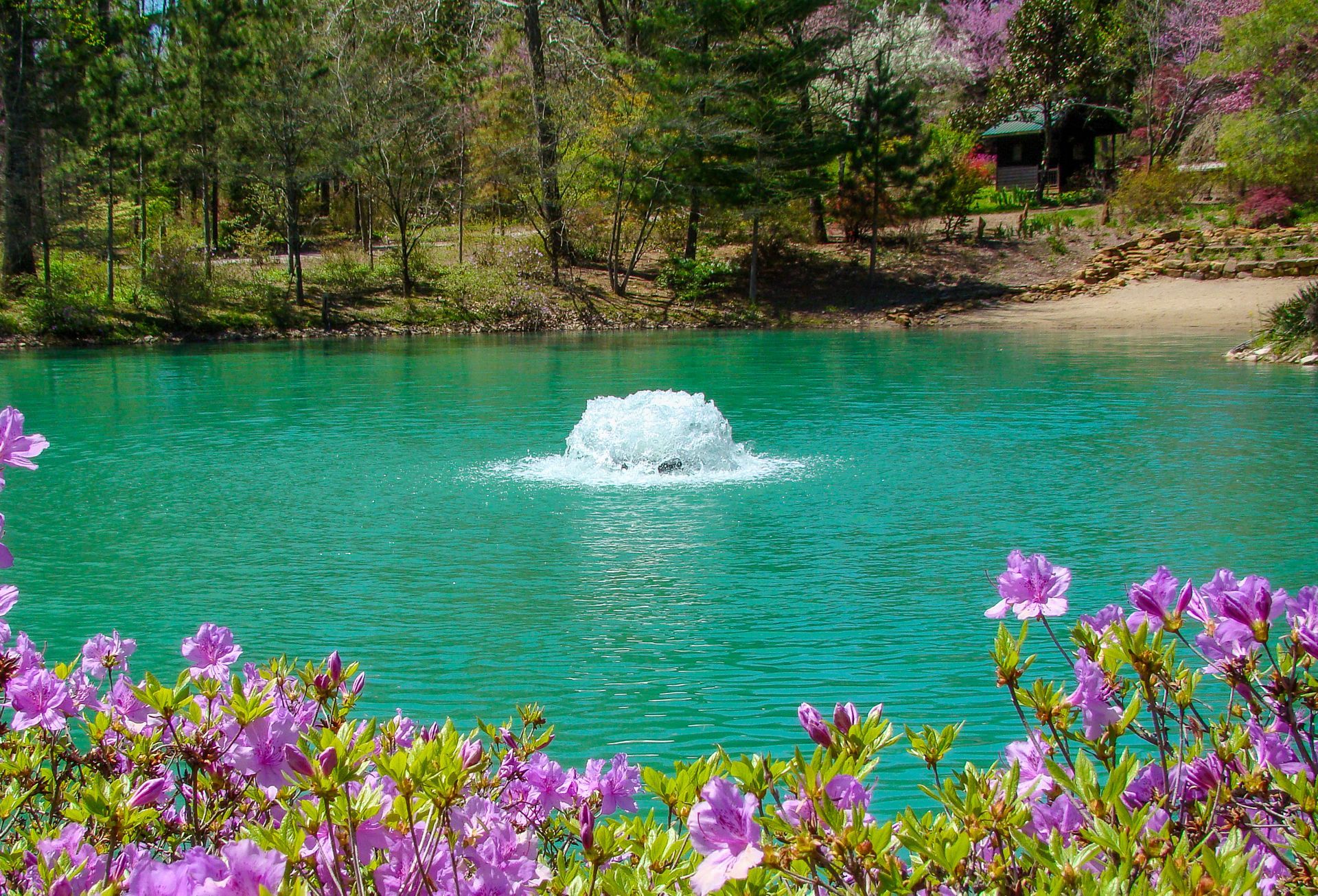 Posey County Community Foundation Alliance