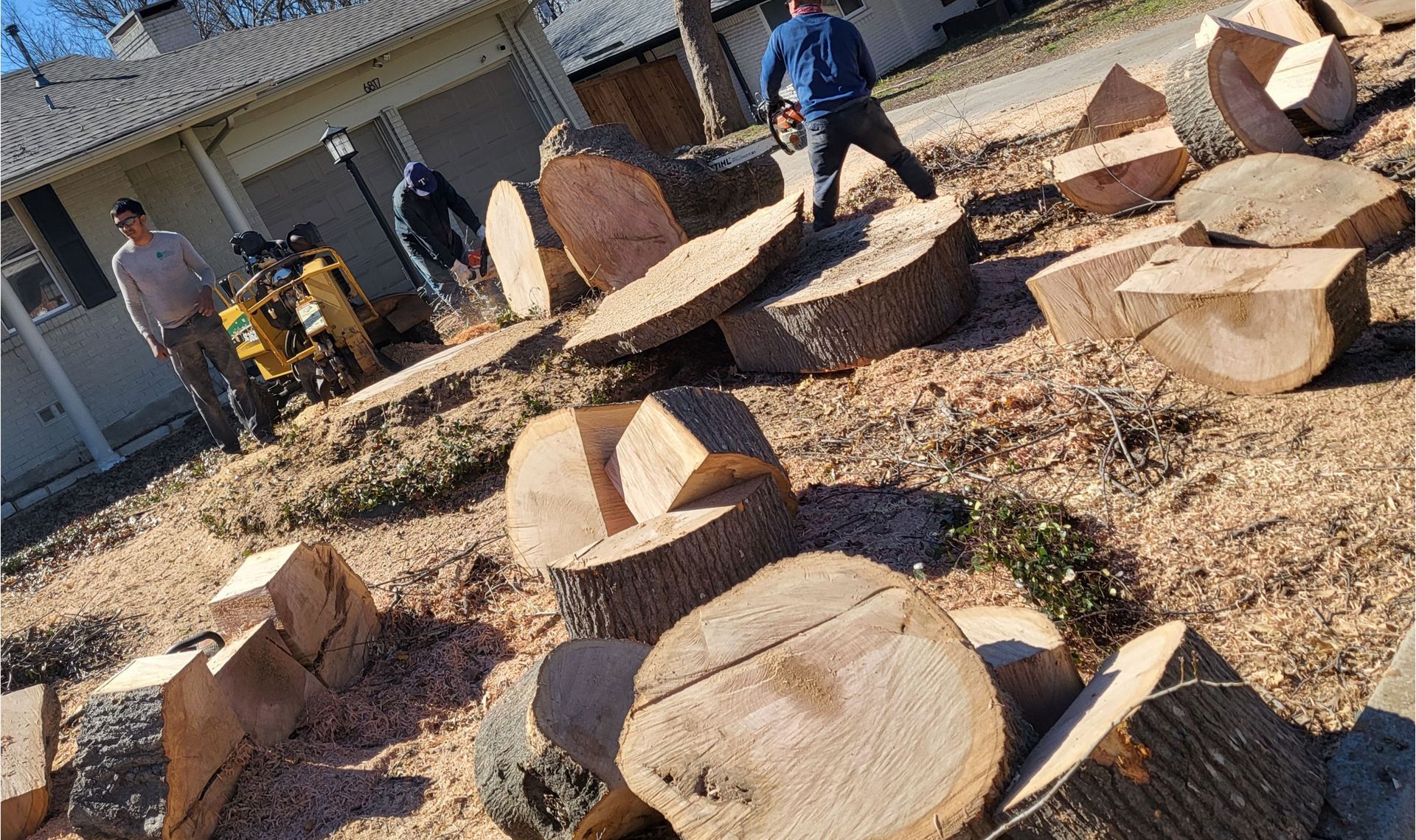 Tree Removal Dallas Fort Worth Texas