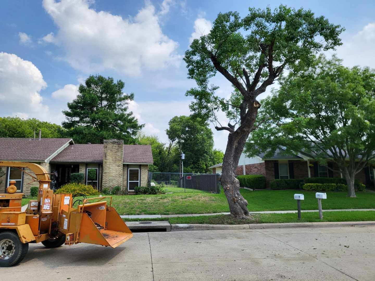 Bladi's Emergency  Tree Service Dallas Fort Worth Texas