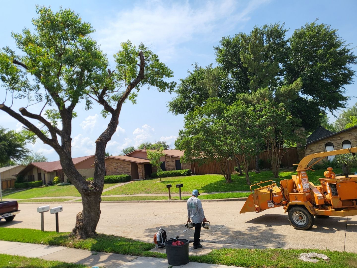 Bladi's Emergency  Tree Removal Service Dallas Fort Worth Texas