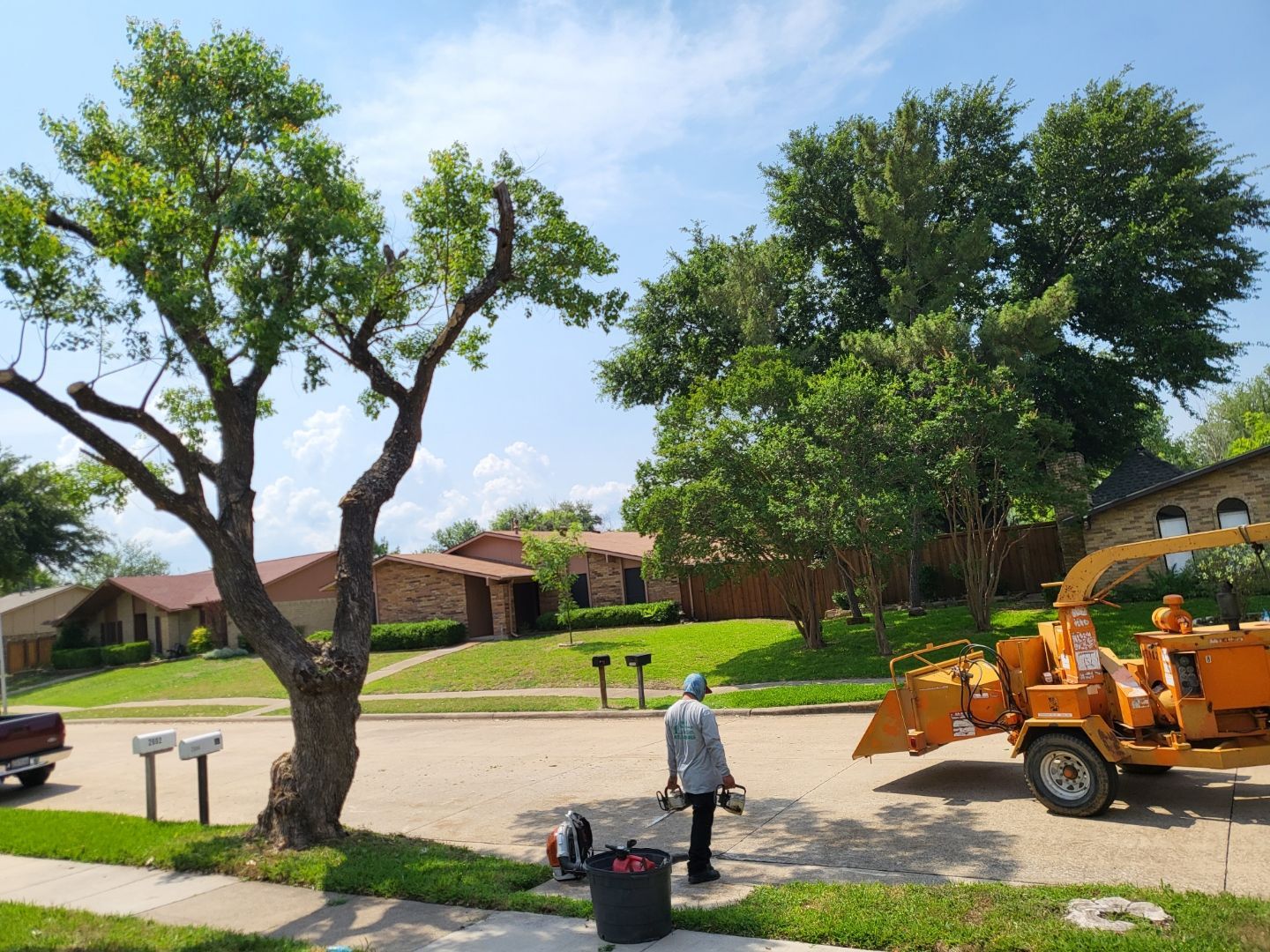 Bladi's Tree Service Dallas Fort Worth Texas