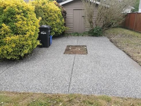 A concrete patio with a hole in the middle and a shed in the background