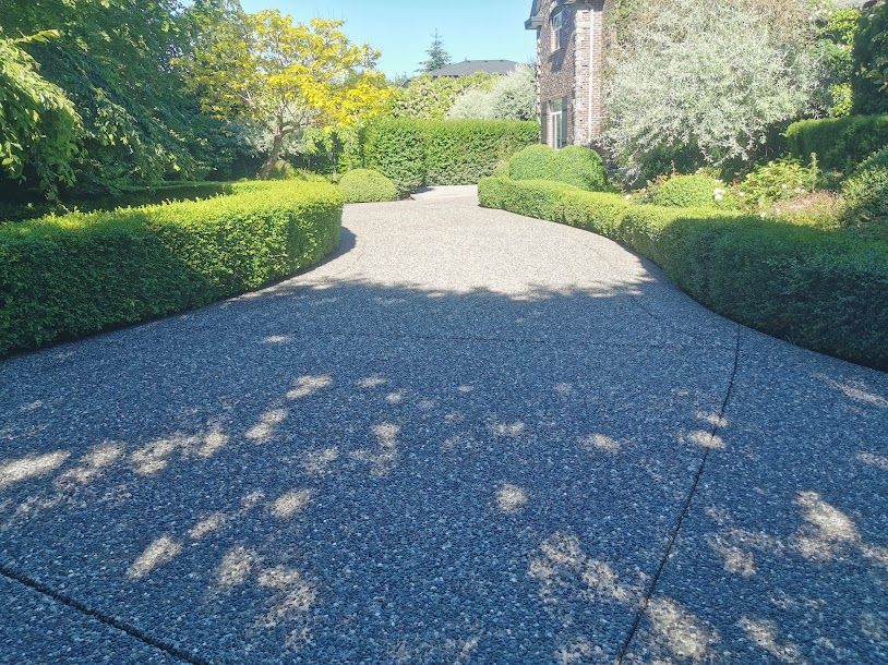 A driveway leading to a house surrounded by trees and bushes.