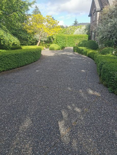 A gravel driveway leading to a large house surrounded by trees and bushes.