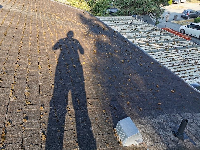 A shadow of a person is cast on the roof of a building.