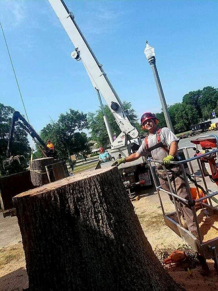 A man is standing on a platform next to a tree stump.