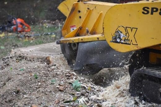 A yellow stump grinder is cutting a tree stump.