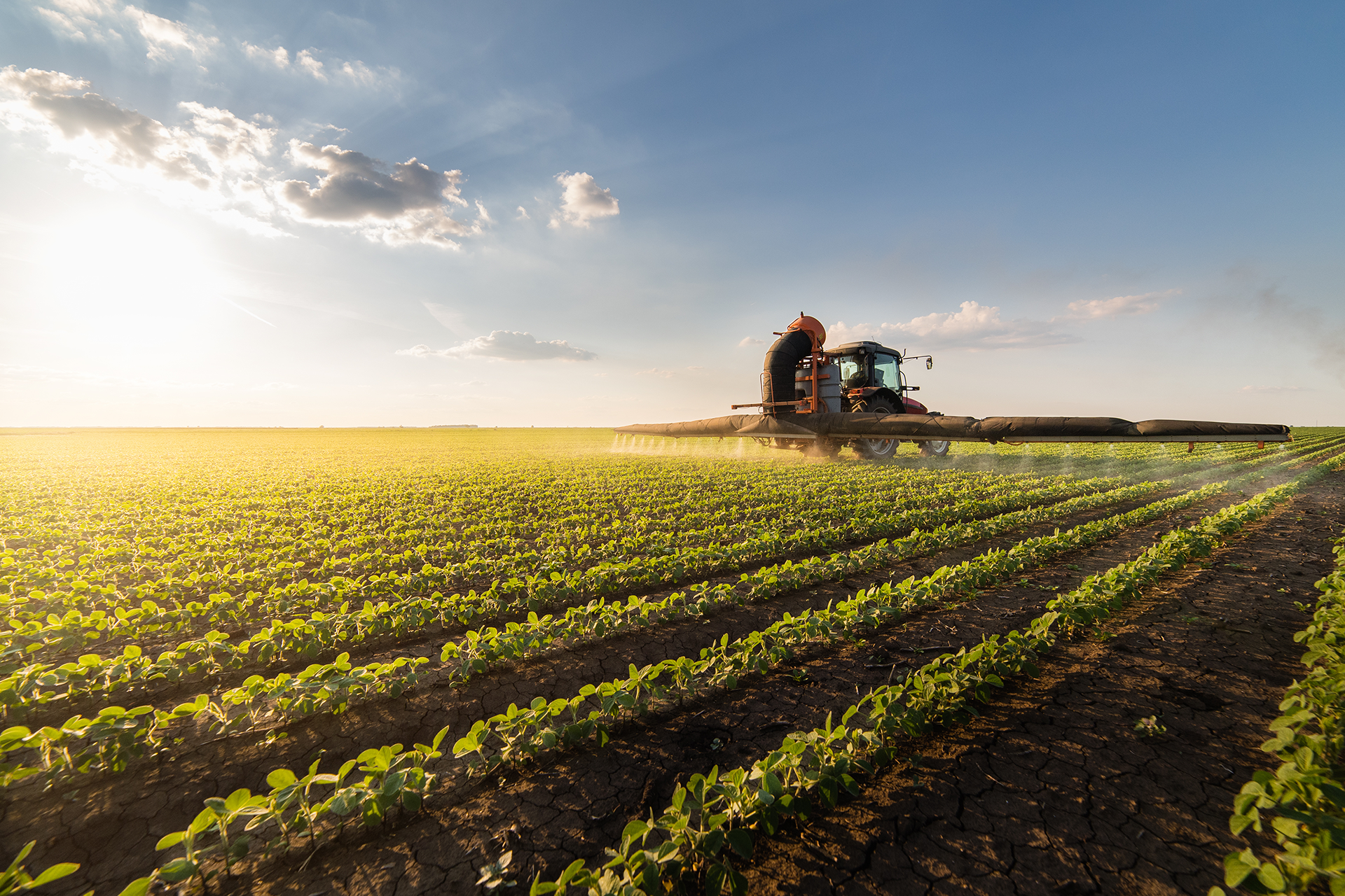 Rabobank é um banco de atuação global especializado em soluções financeiras para o agronegócio
