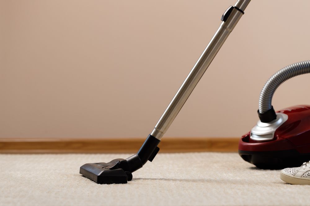 Vacuum Cleaner Cleaning Beige Carpet — Cairns Local Cleaning Services in Cairns City, QLD