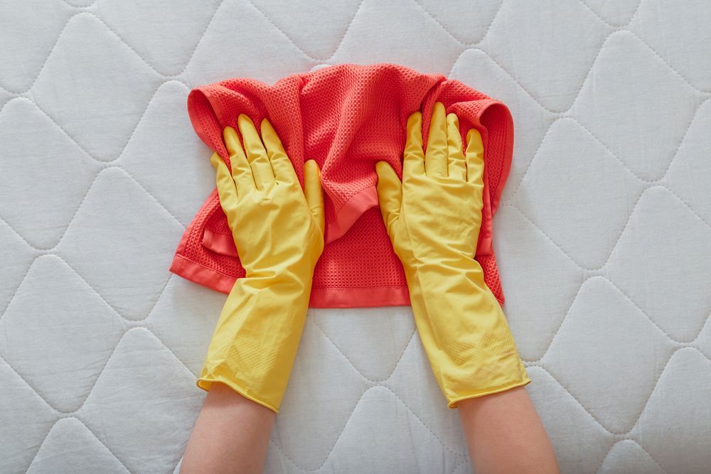 Hands in Yellow Gloves Holding a Red Cloth on a White — Cairns Local Cleaning Services in Smithfield, QLD