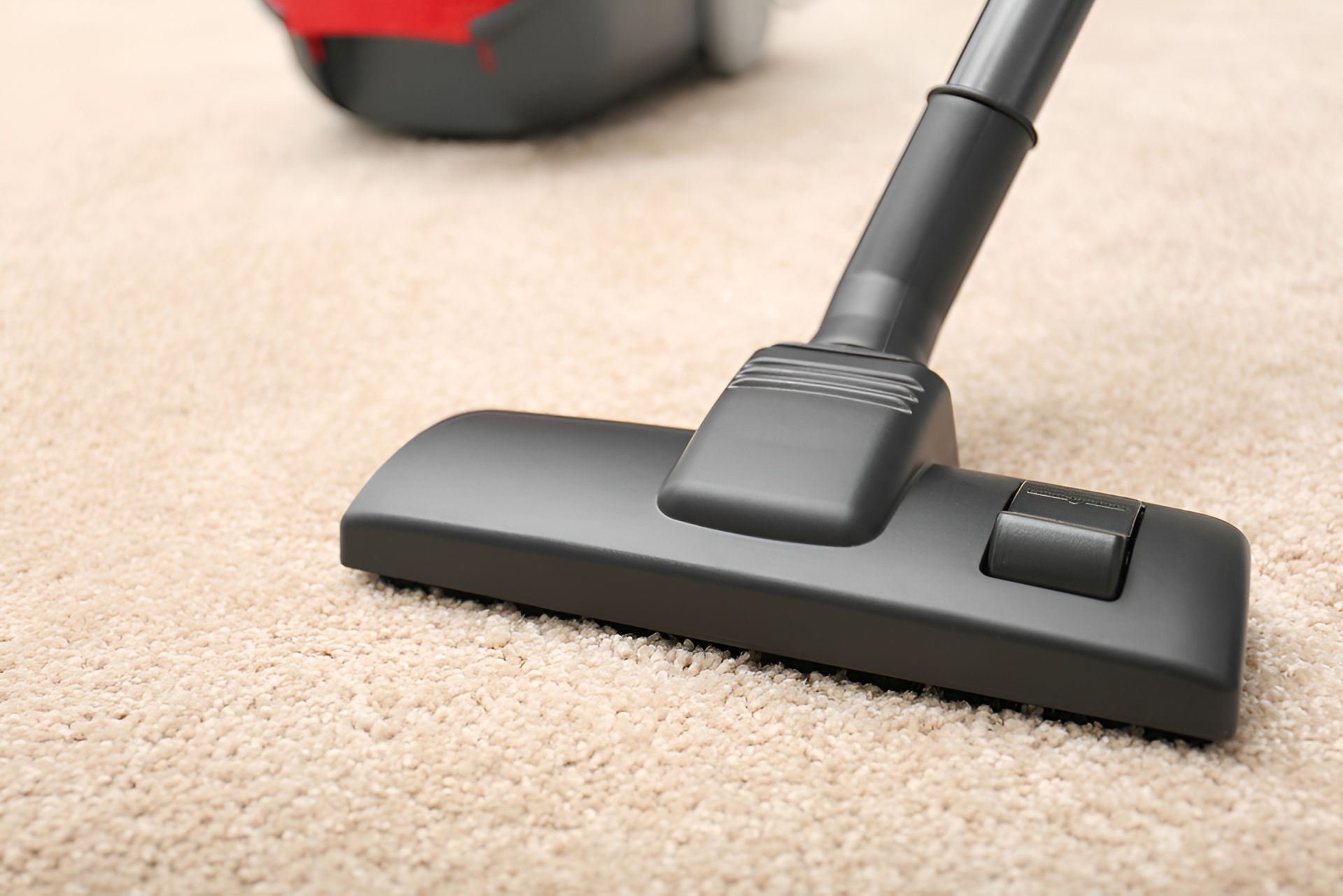 Vacuum Cleaner Head on Beige Carpet — Cairns Local Cleaning Services in Gordonvale, QLD