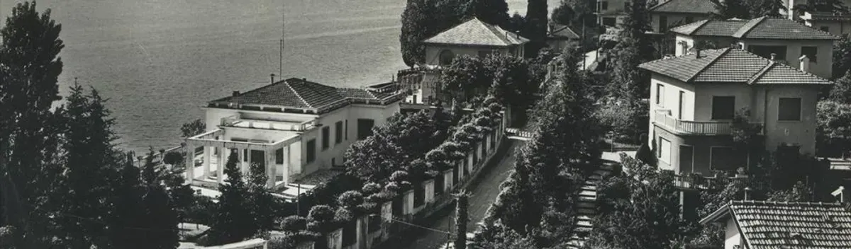 rosa bianca per funerale