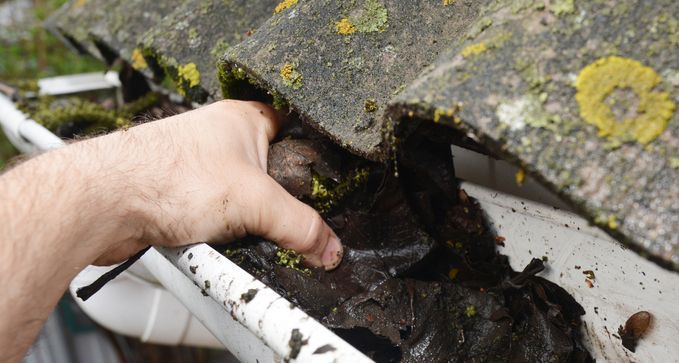 limpieza anual de tejados y canalones a precio económico en La Muela
