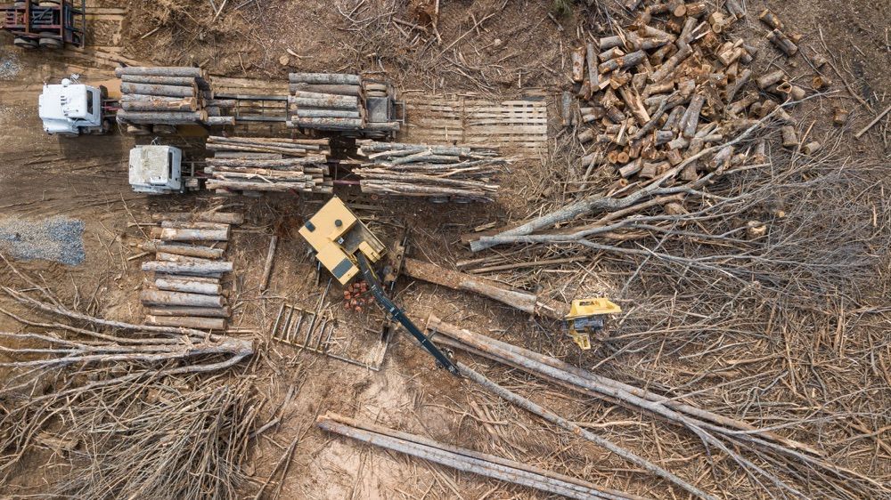 Logging site: excavator loading logs onto trucks, debris scattered.