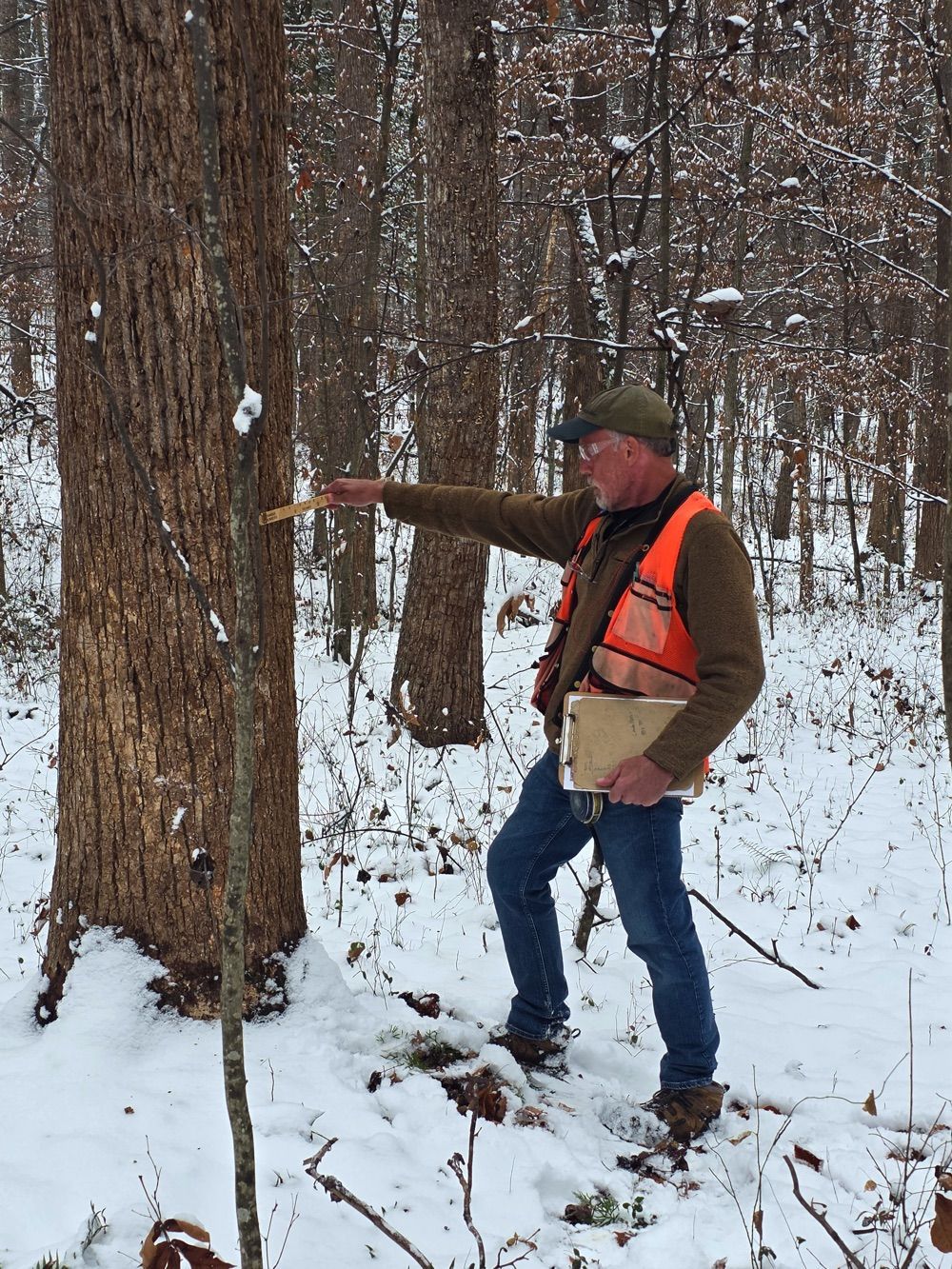 Forester in forest with grandson
