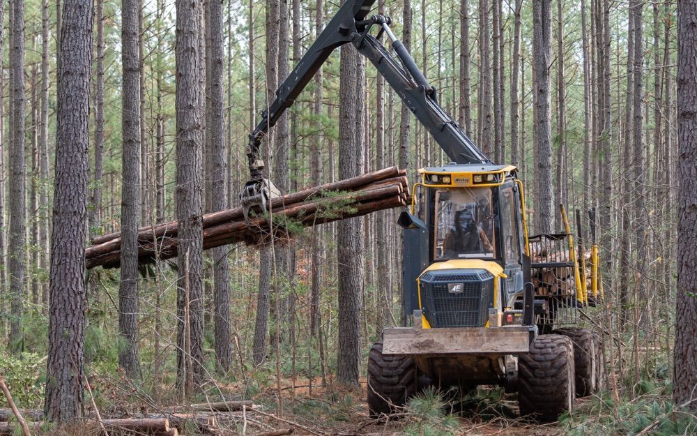 Forestry service logging