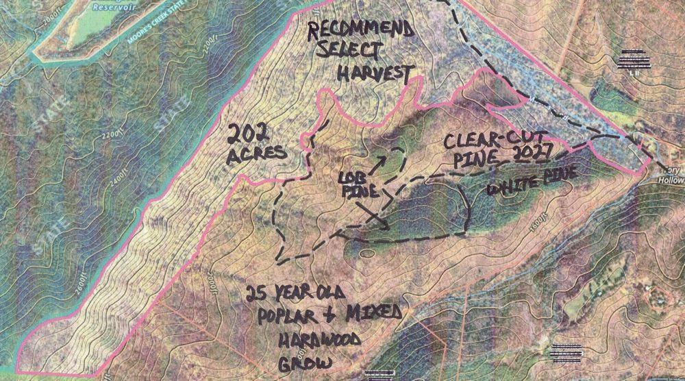 Timberland evaluations in Virginia