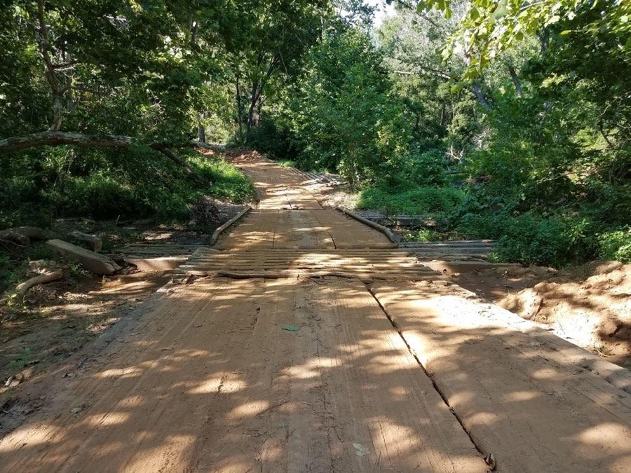 Contact us to learn more about our forest management plans in Virginia.