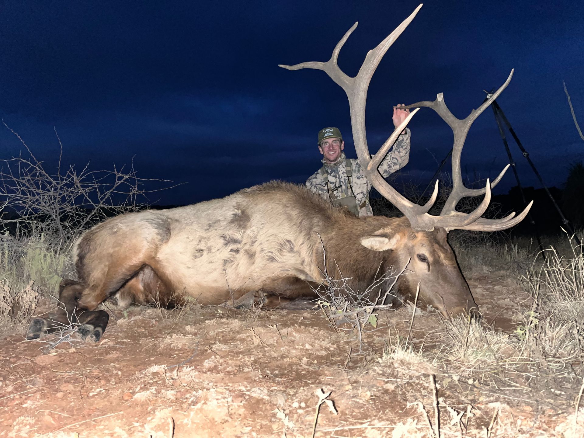 NEW MEXICO