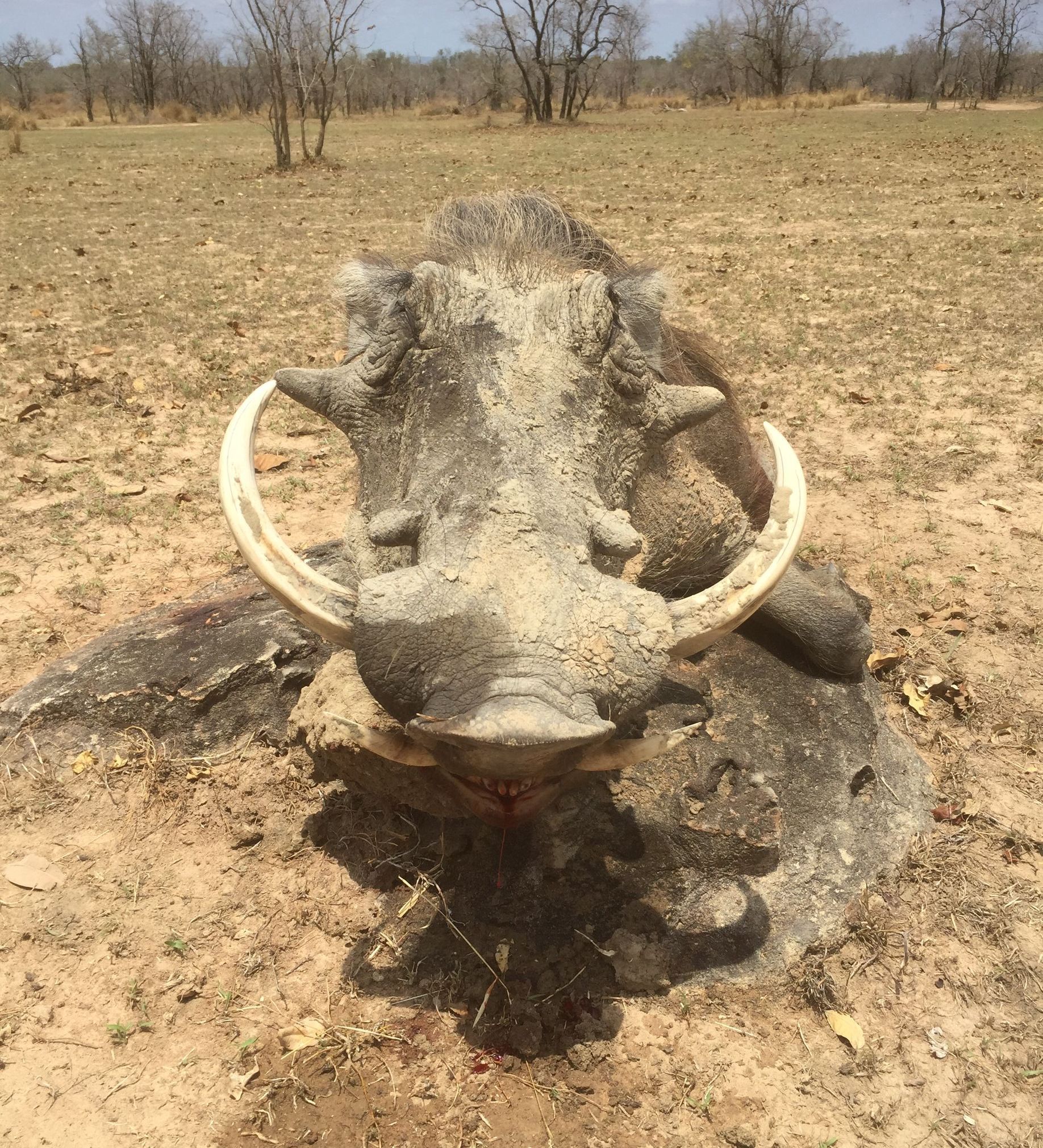 AFRICA
