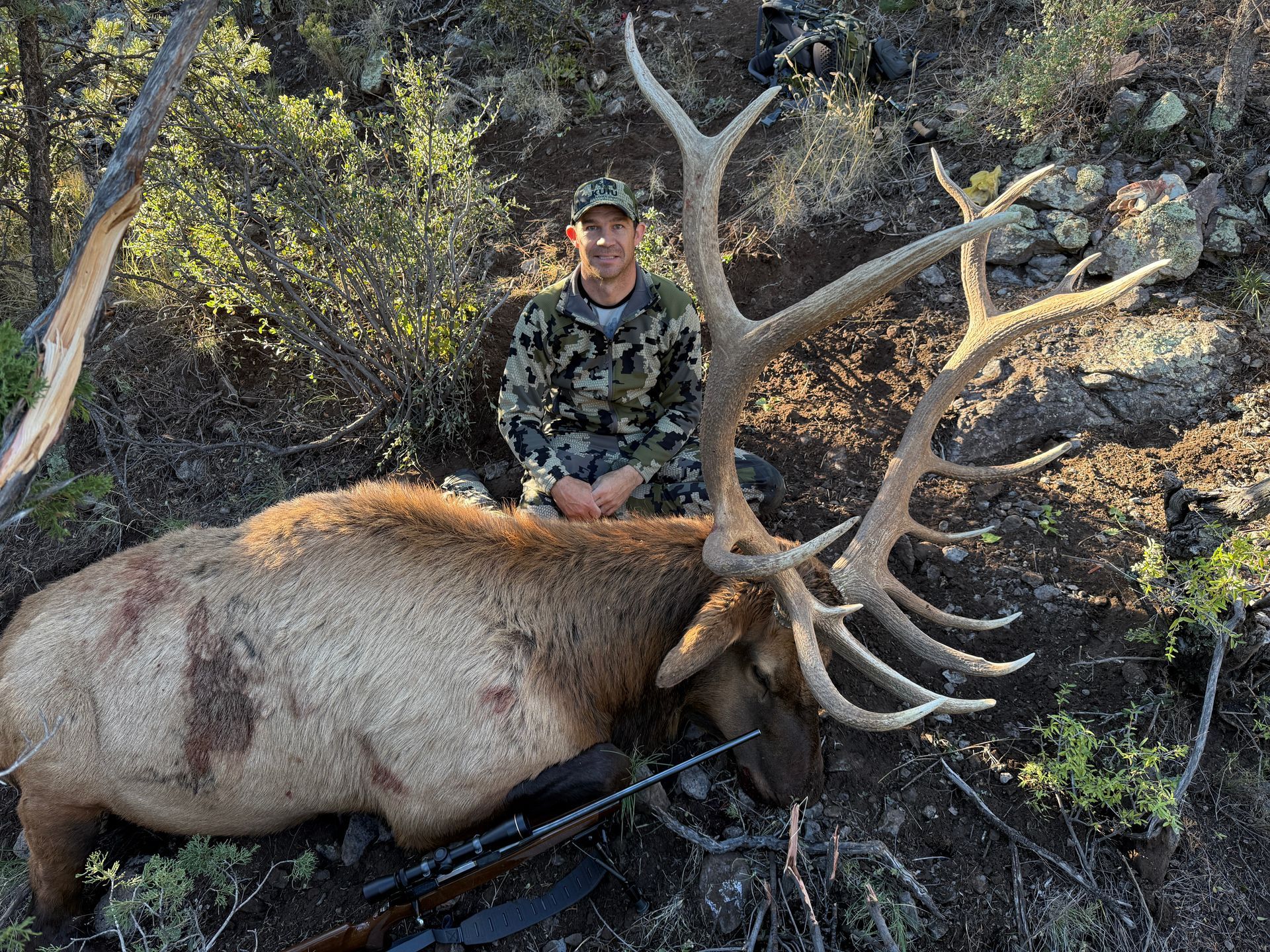 NEW MEXICO