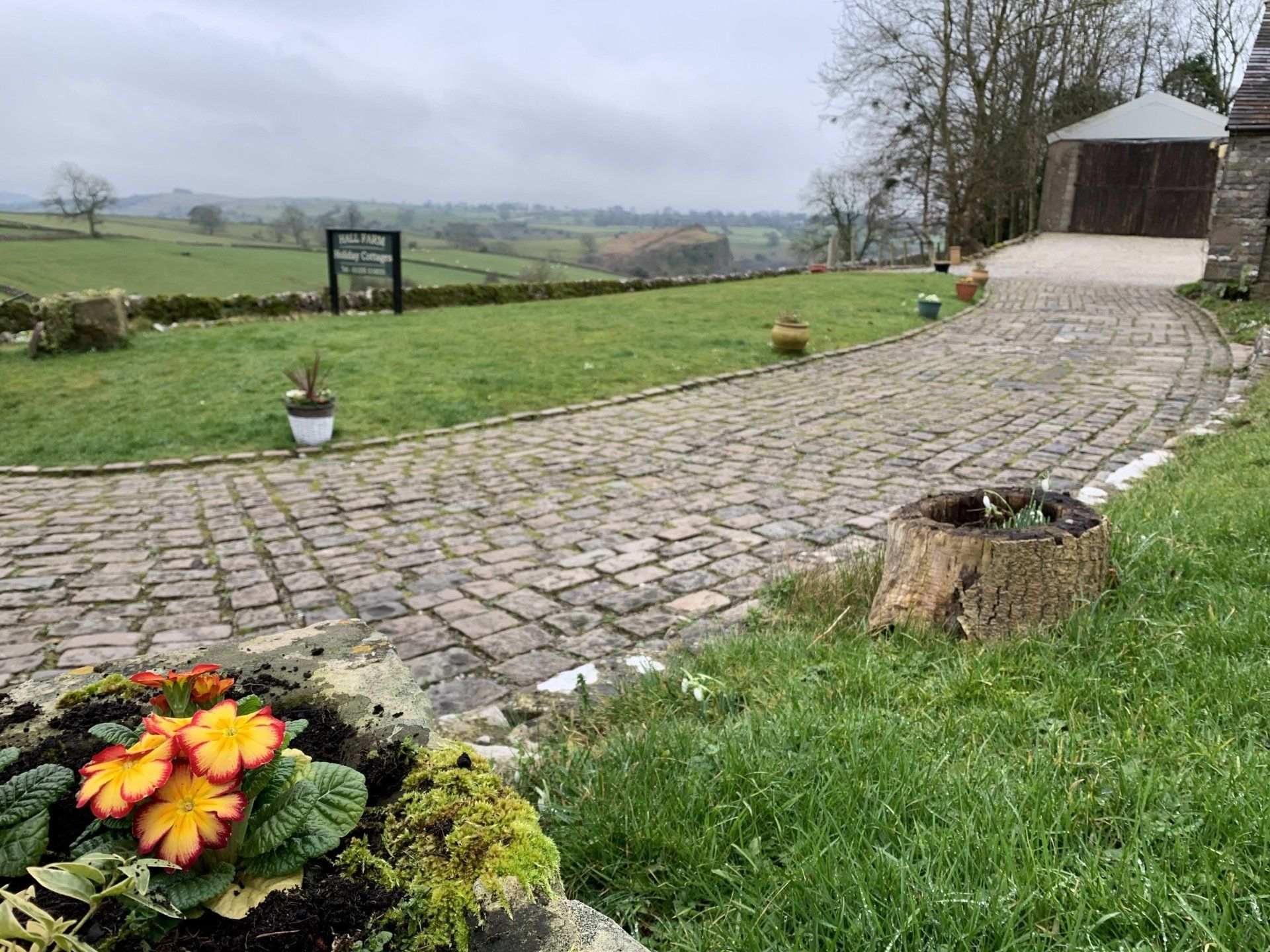 flowers-hall-farm-blog