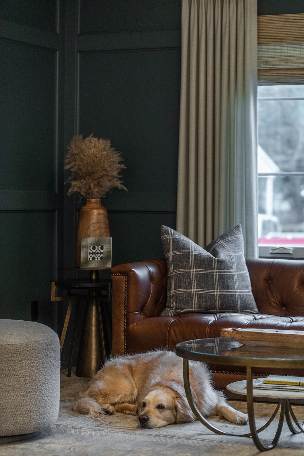 A dog is laying on the floor in a living room next to a couch