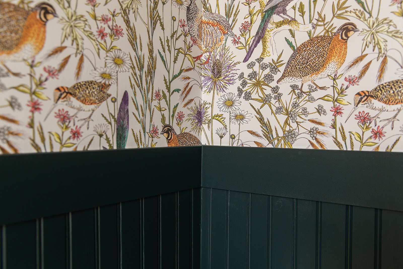 A corner of a room with birds and flowers on the wall