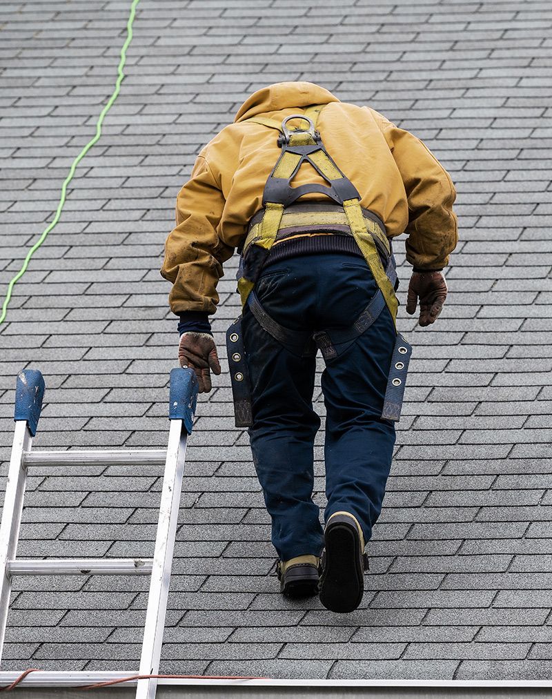 Roof Inspection