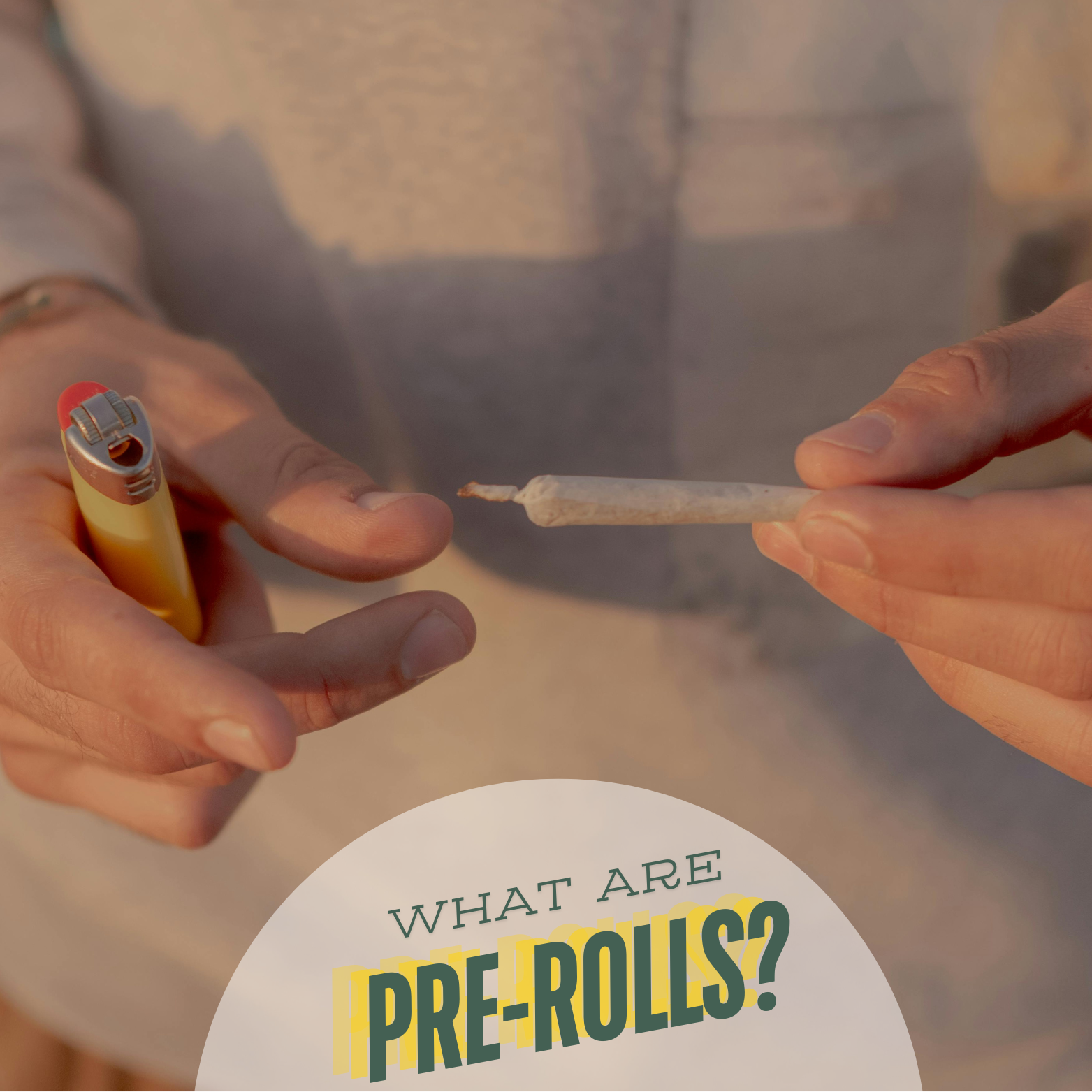 Cannabis pre-roll joint