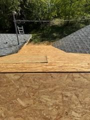 View of a roof with exposed wood sheathing. Shingles are on the sides. Trees and a ladder are in the background.